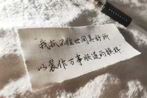 成熟男人语录101句